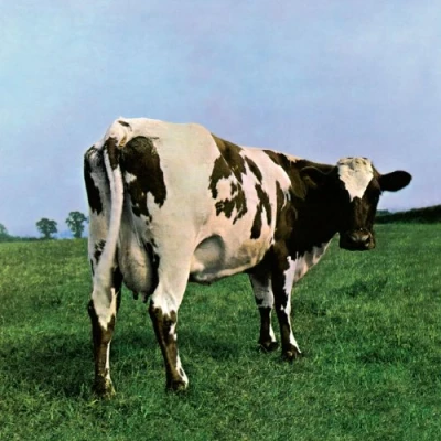 Imagen de Atom Heart Mother [Vinilo]
