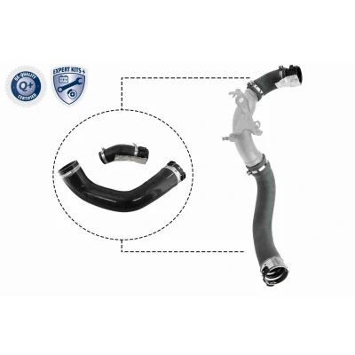 Imagen de VAICO V46 1025 Manguera Turbo EXPERT KITS + DACIA: Lodgy, Dokker Familiar, Express, RENAULT: Captur, Clio 4