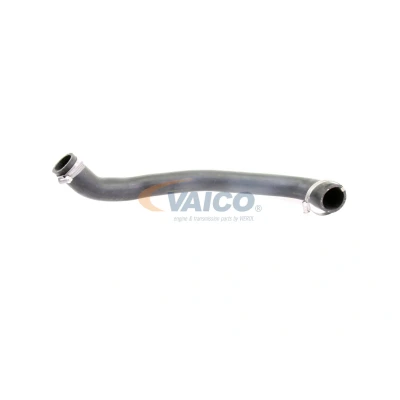 Imagen de VAICO V25 0993 Manguera Turbo Caucho con refuerzo textil Q+, calidad de primer equipo FORD: FOCUS 3