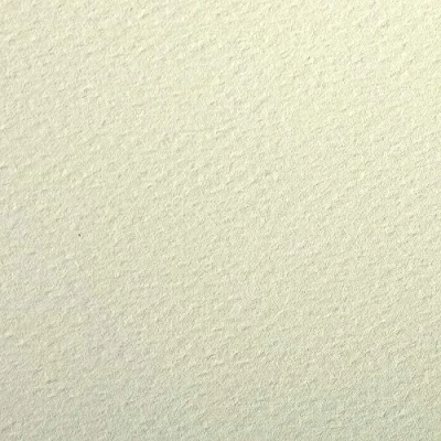 Imagen de Clairefontaine Ref 93892C Papel de dibujo granulado color Etival (paquete 25 hojas) A4 (29,7 x 21 cm), 160 g/m² Verde pálido Sin ácidos, pH neutro