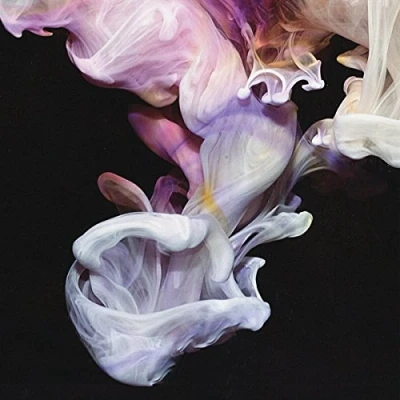 Imagen de Murmurations [Vinilo]
