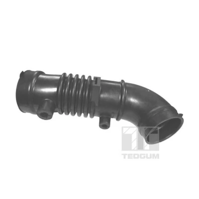 Imagen de Tubo flexible de aspiración, filtro aire TEDGUM 00396364
