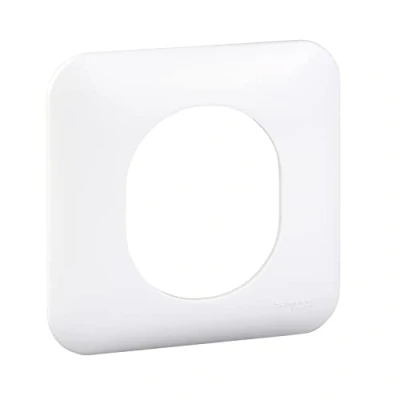 Imagen de Ovalis Placa de acabado blanco (RAL9003) 1 puesto