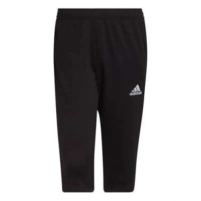 Imagen de adidas Performance Entrada 22 PANT Pantalón 3/4 de deporte, Hombre, Talla: XXL, Black