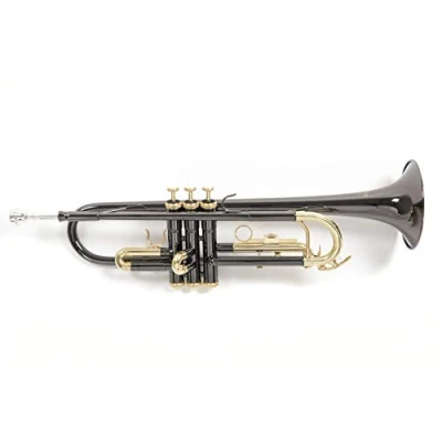 Imagen de Roy Benson Trompeta Sib TR 101K (diámetro ML, válvulas de acero inoxidable, tudel latón dorado, diseño elegante, en estuche rectangular ligero, con función mochila), Antracita