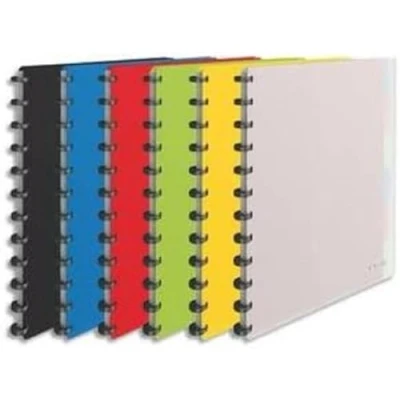 Imagen de Leitz Esselte 624014 VIVIDA Carpeta de fundas extraíbles A4, 25 fundas, Capacidad para 50 hojas, Tapas flexibles, 1 unidad [colores surtidos]