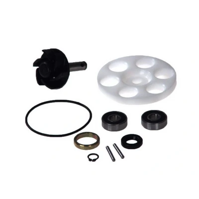 Imagen de Kit de reparación, bomba agua VICMA 6215
