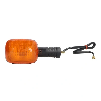 Imagen de VICMA 7030 intermitente Delante, derecha con luz