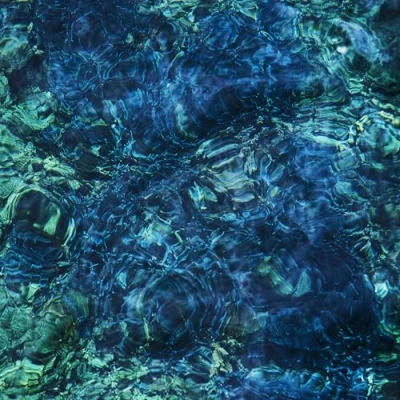 Imagen de Luminescent Creatures