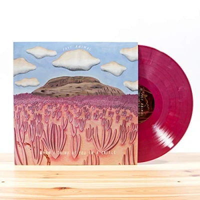 Imagen de When I Think Of You In A Castle (Colored Vinyl)
