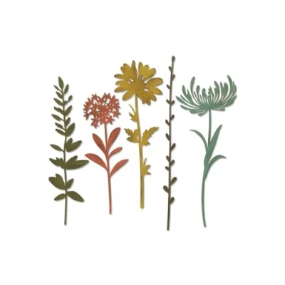 Imagen de Sizzix Thinlits Troqueles 5PK Tallos de flores silvestres #1