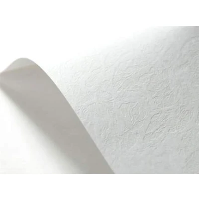 Imagen de Netuno Papel texturizado (DIN A5, 148 x 210 mm, 246 g, 40 unidades), color blanco