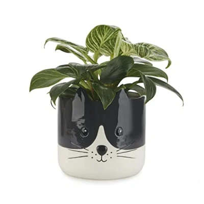 Imagen de Balvi Maceta Kitty Color Negro y Blanco Original con diseño de Gatito Cerámica 13,7x13,5x13,5