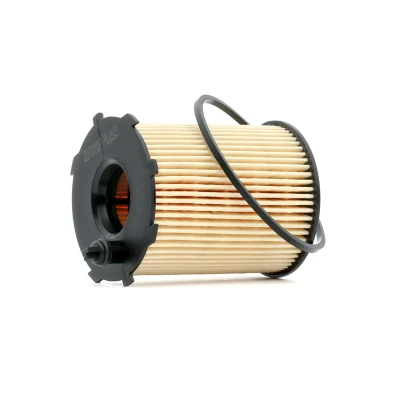 Imagen de Filtro de aceite FILTRON OE 667/1