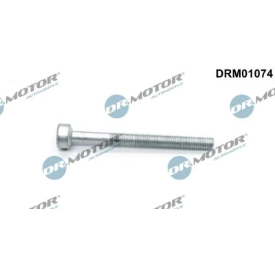 Imagen de DR.MOTOR AUTOMOTIVE DRM01074 Tornillo, soporte inyector MERCEDES BENZ: Viano, Clase C Berlina, Vito Mixto