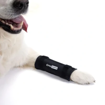 Imagen de Ortocanis Soporte de Carpo para Perros con Artrosis, Lesiones en Ligamentos, Inestable, Talla S