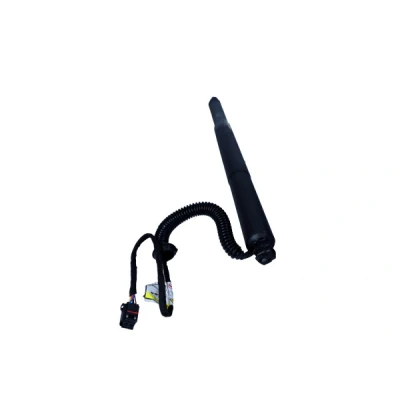 Imagen de MAXGEAR 12 2555 Muelle a gas, anaquel, (maletero. comp. carga)