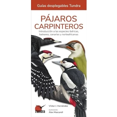 Imagen de Pájaros carpinteros. Introducción a las especies ibéricas, baleares, canarias y norteafricanas (GUIAS DESPLEGABLES)