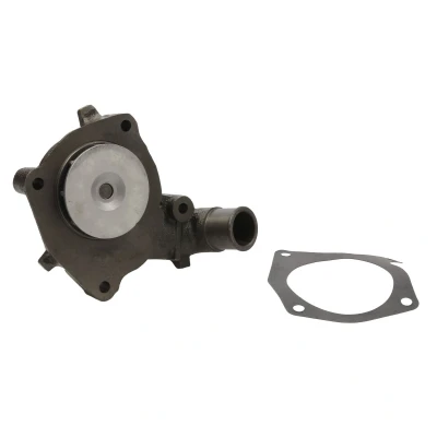 Imagen de THERMOTEC D1G022TT Bomba de agua con junta mecánico FORD: ESCORT 6, FIESTA 3, 4