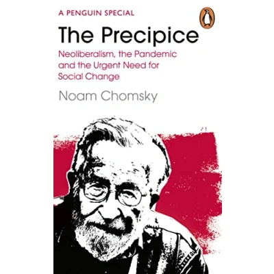 Imagen de The Precipice: Neoliberalism Pandemic And Urgent Need For Radi