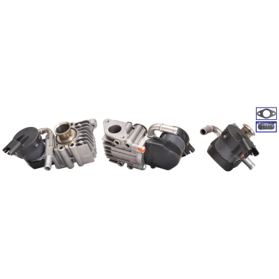 Imagen de ELSTOCK 73 0206 Válvula EGR eléctrico con juntas BMW: 3 Berlina, Touring, Coupé