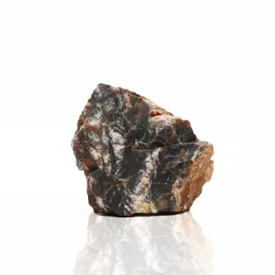 Imagen de Amtra Roca Petrificada, Decoración De Acuarios, Natural, Sin Piedra Caliza, 0,5 Kg.