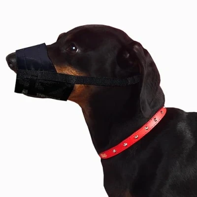 Imagen de Dingo Waldemar Rutkowski Bozal para Perro, Nailon Malla, Negro, XS