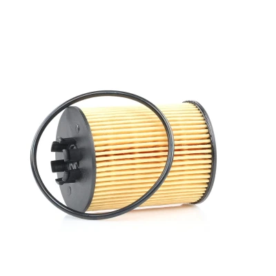 Imagen de CHAMPION EON TITAN COF100519E Filtro de aceite Cartucho filtrante OPEL: Corsa C Hatchback, Astra H D Hatchback
