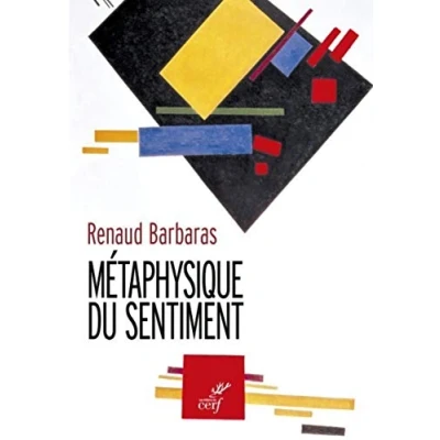 Imagen de Métaphysique Du Sentiment (ebook)