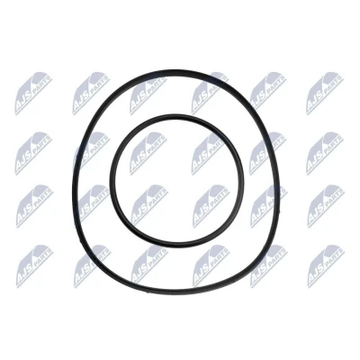 Imagen de Anillo retén, portainyectores NTY PVP BM 000