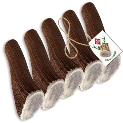 Imagen de ChronoBalance® XL Stick (Conjunto de 5) para Masticar en asta Ciervo Perros: Juguete masticable Natural, 100% Ciervo, favorece la higiene Dental, sin aditivos, Duradero