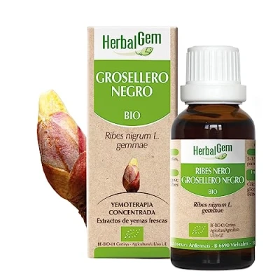 Imagen de HERBALGEM Macerado Madre Grosella Negra Orgánica Suplemento Alimenticio Concentrado de Yemoterapia Extracto brotes Frescos Para Articulaciones, Músculos Vegano 30ml