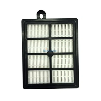 Imagen de filtro HEPA para aspiradora AEG LX7 X Power de 1 FFP, serie LX 7 equivalente a afs1 W MicroSafe®