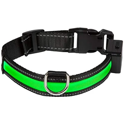 Imagen de Num&#039;axes 01830605 Collar Eyenimal con USB Verde M