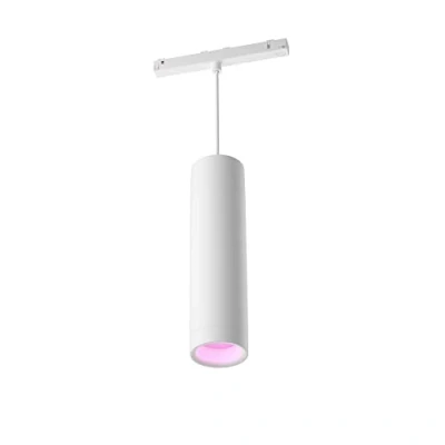 Imagen de Philips Hue Perifo Suspensión cilíndrica Negro, compatible con Bluetooth, funciona Alexa, Google Assistant y Apple Homekit
