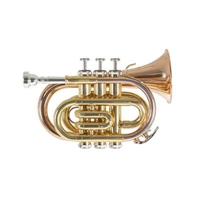 Imagen de Roy Benson Trompeta de bolsillo en Sib PT 101G (con campana latón dorado, tamaño compacto y sonido profesional, incluye estuche rectangular juego mochila)
