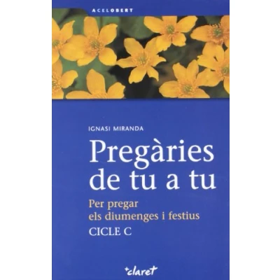 Imagen de Pregàries de tu a tu: Per pregar els diumenges i festius. Cicle C: 9 (A Cel Obert)