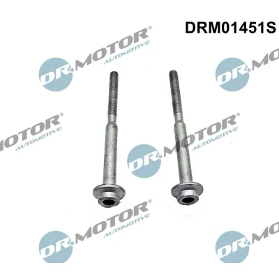 Imagen de DR.MOTOR AUTOMOTIVE DRM01451S Tornillo, soporte inyector SEAT: Leon III Hatchback, ST, ST Furgón / Familiar, VOLKSWAGEN: Golf 7