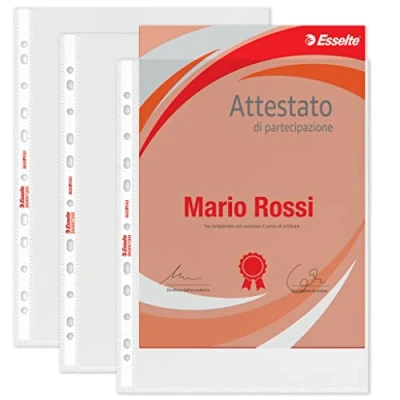 Imagen de Esselte Buste a foratura universale Copy Safe Office 23x33 cm goffrata 569720 (conf.100)