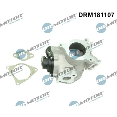 Imagen de DR.MOTOR AUTOMOTIVE DRM181107 Válvula EGR eléctrico RENAULT: TRAFIC 2 Kasten, MASTER Bus, OPEL: Vivaro A Combi, Furgón