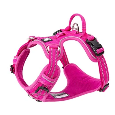 Imagen de Truelove Arnés para perro, sin tirones, ajustable, reflectante, de nailon suave, mascotas pequeñas y grandes TLH56512 (L, fucsia)
