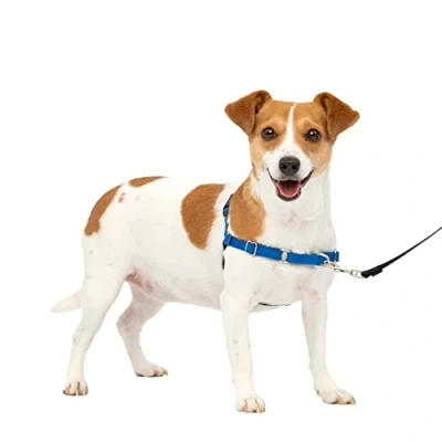 Imagen de Arnés para Perros PetSafe Easy Walk