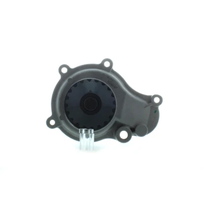 Imagen de AISIN WPA 009 Bomba de agua JEEP: Cherokee III, WRANGLER 2, CHRYSLER: Voyager 4, PT Cruiser Familiar, / Grand 3