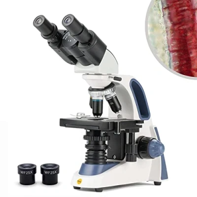 Imagen de Swift microscopio Compuesto Binocular SW380B 40X 2500X ampliación, Cabeza Siedentopf, Grado de investigación, Ocular Campo Amplio 10X y 25X, Condensador Abbe, Enfoque Ultra preciso