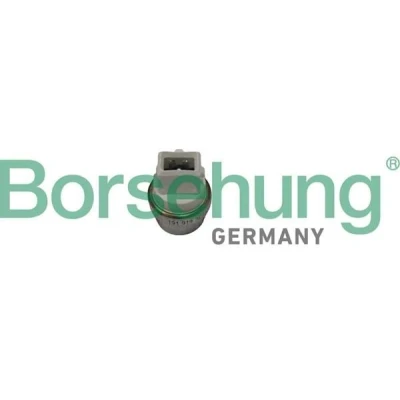 Imagen de Borsehung B18288 Interruptor de temperatura, testigo líquido refrigerante VOLKSWAGEN: GOLF 4, 3, Polo III Hatchback, SEAT: Leon I Hatchback