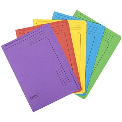 Imagen de Exacompta 48100E Lote de 25 Subcarpetas FOREVER® 290 impresas y borde estrecho, Colores surtidos