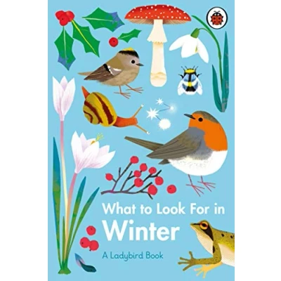 Imagen de What To Look For In Winter (ebook)