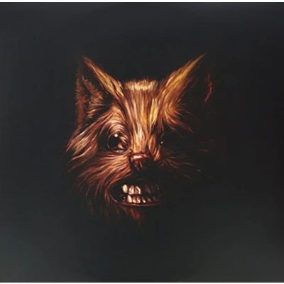 Imagen de Seer [Vinilo]
