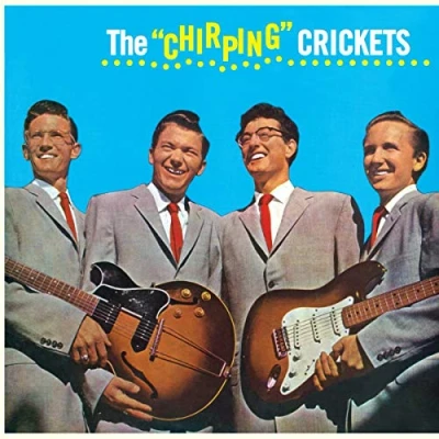 Imagen de The Chirping Crickets [Vinilo]