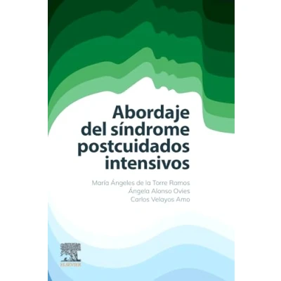 Imagen de Abordaje Del Síndrome Postcuidados Intensivos